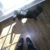 xowiejones Altpins Profile Picture