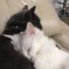 xxk1tty4nnaxx Altpins Profile Picture