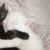 xxk1tty4nnaxx Altpins Profile Picture