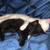 xxk1tty4nnaxx Altpins Profile Picture
