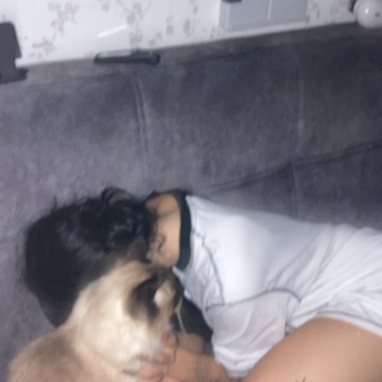 xzot1_met4xx instagram image archive image