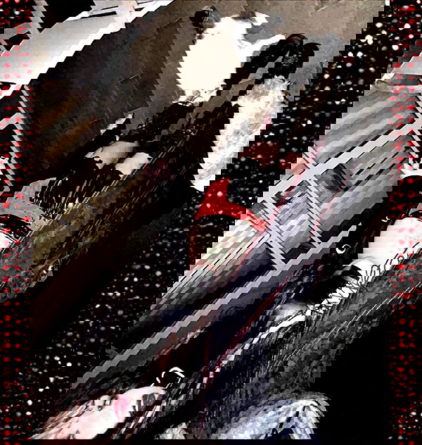 xzot1_met4xx image ~ Altpins