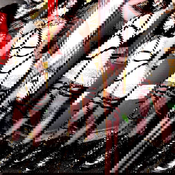 xzot1_met4xx image ~ Altpins