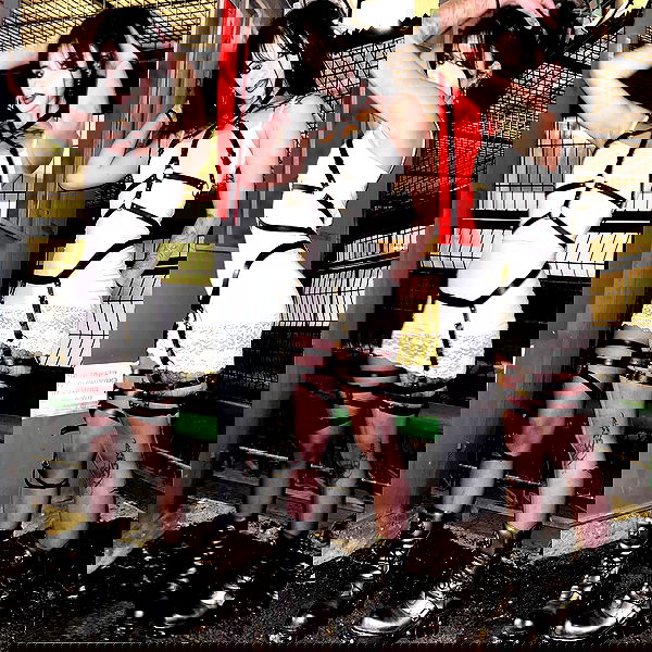 xzot1_met4xx image ~ Altpins