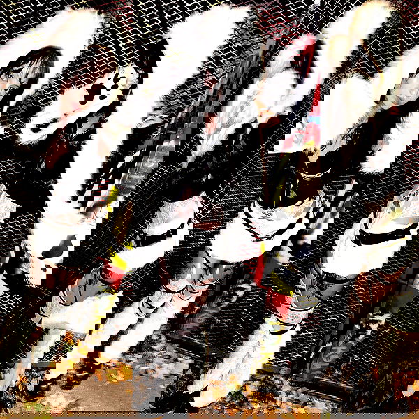 xzot1_met4xx image ~ Altpins