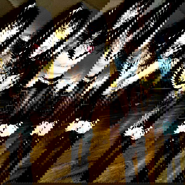 xzot1_met4xx image ~ Altpins