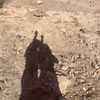 yaarat11 Altpins Profile Picture