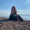 yaarat11 Altpins Profile Picture