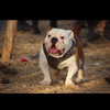yaarat11 Altpins Profile Picture