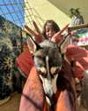 yaarat11 Altpins Profile Picture