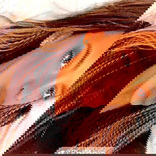 yaelxyazdi yaelxyazdi archive image