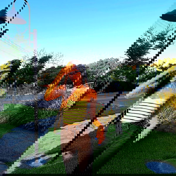 yaelxyazdi yaelxyazdi archive image