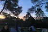 yaheli.bs2 Altpins Profile Picture