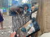yaheli.bs2 Altpins Profile Picture