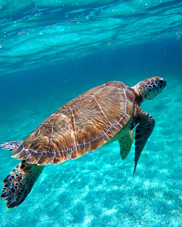 yaheli_idan instagram image archive image