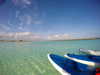 yaheli_idan Altpins Profile Picture
