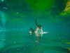 yaheli_idan Altpins Profile Picture
