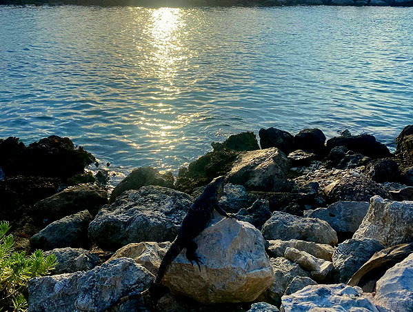 yaheli_idan instagram image archive image