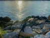 yaheli_idan Altpins Profile Picture