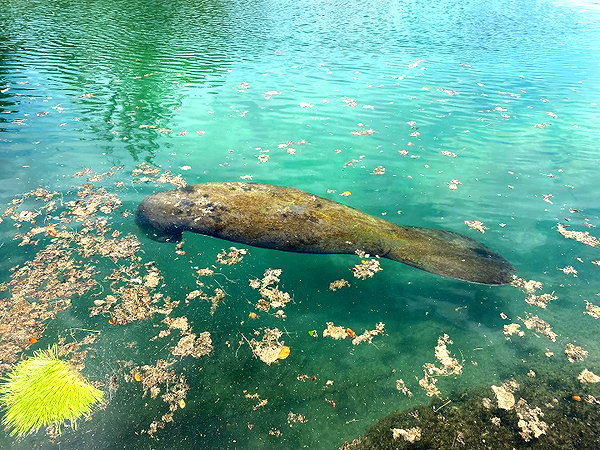 yaheli_idan instagram image archive image