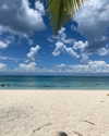yaheli_idan Altpins Profile Picture