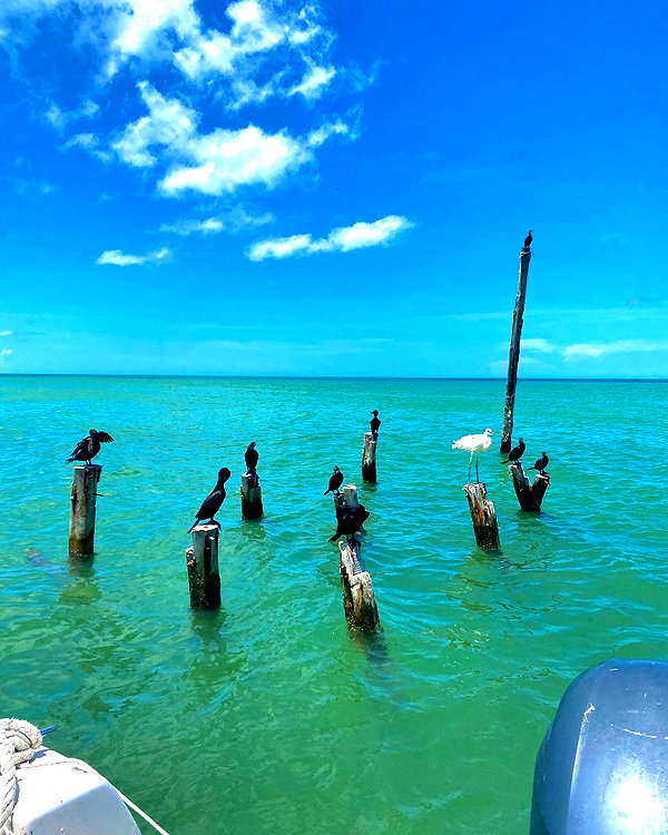 yaheli_idan instagram image archive image