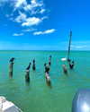 yaheli_idan Altpins Profile Picture
