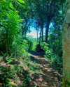 yaheli_idan Altpins Profile Picture