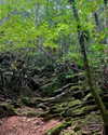 yaheli_idan Altpins Profile Picture