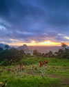 yaheli_idan Altpins Profile Picture