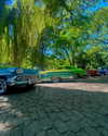 yaheli_idan Altpins Profile Picture