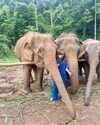 yaheli_idan Altpins Profile Picture