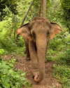yaheli_idan Altpins Profile Picture