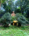 yaheli_idan Altpins Profile Picture