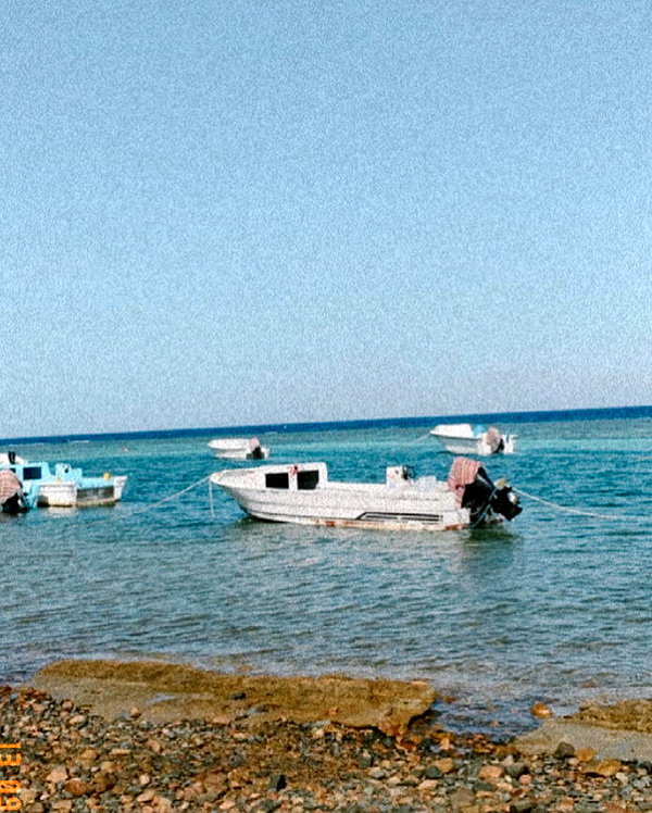 yaheli_ovadya instagram image archive image