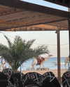 yaheli_ovadya Altpins Profile Picture