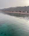 yaheli_ovadya Altpins Profile Picture