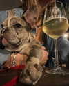 yaheli_ovadya Altpins Profile Picture