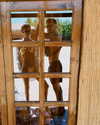 yaheli_ovadya Altpins Profile Picture