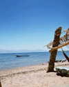 yaheli_ovadya Altpins Profile Picture