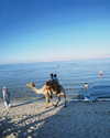 yaheli_ovadya Altpins Profile Picture