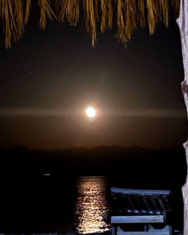 yaheli_ovadya instagram image archive image