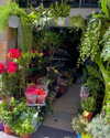 yaheli_ovadya Altpins Profile Picture