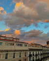 yaheli_ovadya Altpins Profile Picture