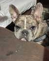 yaheli_ovadya Altpins Profile Picture