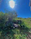 yaheli_ovadya Altpins Profile Picture