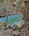 yaheli_ovadya Altpins Profile Picture