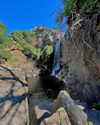 yaheli_ovadya Altpins Profile Picture