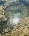 yaheli_ovadya Altpins Profile Picture
