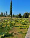 yaheli_ovadya Altpins Profile Picture